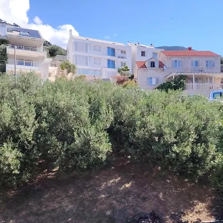 דירה Sunny בול